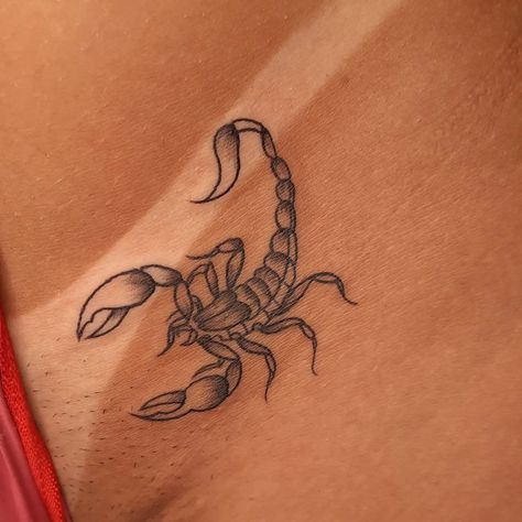 Scorpio Tattoo, Scorpion Tattoo, Pretty Tattoos For Women, Weird Tattoos, Stylist Tattoos, Tattoo Meaning, Hot Tattoos, Aesthetic Tattoo, Sleeve Tattoos For Women