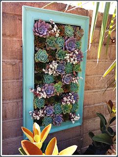 framed succulent garden Succulent Frame, Succulent Wall Art, Succulent Garden Design, Creative Landscape, Pallet Planter, Succulent Art, Old Picture Frames, Succulent Wall, Diy Picture Frames