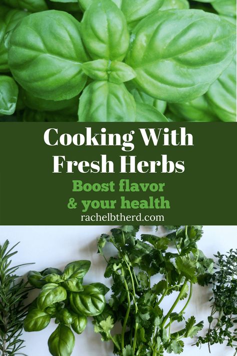 You’ll be surprised how easy it is to grow your own herbs for cooking. It’s so convenient to have them at your disposable to take your dishes up a notch. The addition of fresh herbs can add vivid color, fresh flavor and exciting aroma. You will also be surprised at all the amazing health benefits from cooking with herbs! #herbs #freshherbs # cookingwithherbs #growingherbs #healthycooking #nutrition #homegarden Using Fresh Herbs In Cooking, Cooking With Fresh Herbs Recipes, How To Use Fresh Herbs, Recipes Using Fresh Herbs, Cooking With Herbs Recipes, Store Fresh Herbs, Rosemary Roasted Chicken, Lemon Quinoa, Fresh Herb Recipes