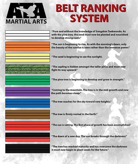 Recently we shared the symbolic meanings of each of our colored belt ranks.  This guide shows all the ranks from white through black belt and their meanings.  Tell in the comments below where you are and what the belt means to you. Karate Belt Colors, Taekwondo Techniques, Martial Arts Belt, Black Belt Taekwondo, Taekwondo Belts, Black Belt Karate, Martial Arts Belts, Karate Belt, Sulphur Springs