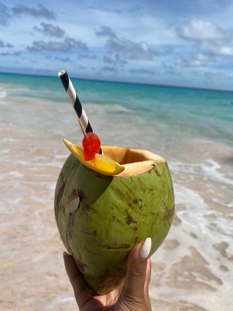 Barbados Puerto Morelos, Pretty Drinks, Paradise On Earth, Krabi, Summer Dream, Tropical Vacation, Coconut Water, Travel Aesthetic, Summer Drinks