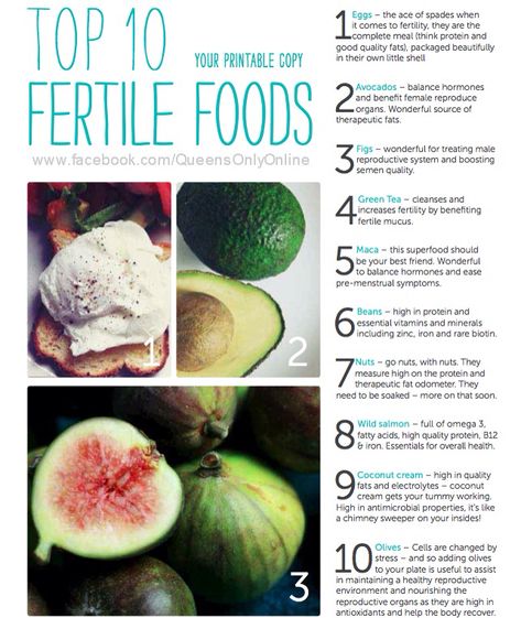 Fertility foods Fertile Foods, Fertility Foods, Fertility Health, Awesome Mom, Fertility Diet, Fertility Boost, Male Fertility, Healthy Pregnancy, Pregnancy Tips