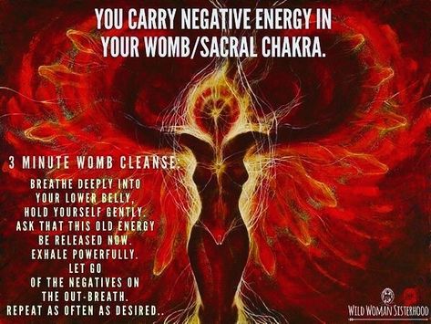 Womb Cleanse, Wild Woman Sisterhood, Swadhisthana Chakra, Sacral Chakra Healing, Wild Women Sisterhood, Manipura Chakra, Womb Healing, Best Meditation, A Course In Miracles