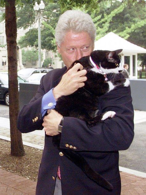 Playing With Cat, Celebrities With Cats, Men With Cats, Bill Clinton, Cat People, Cat Person, Crazy Cat Lady, Beautiful Cats, White Cat