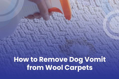 Dog Vomit, Dog Throwing Up, White Worms, Remove Pet Stains, Portable Carpet Cleaner, Blemish Remover, Shag Carpet, Old Towels, Pet Stains