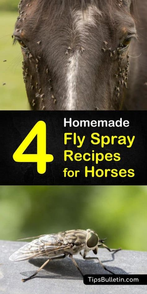 Fly Remedies, Homemade Fly Spray, Natural Fly Repellant, Fly Spray For Horses, Get Rid Of Flies, Fly Spray, Horse Care Tips, Horse Info, Avon Skin So Soft