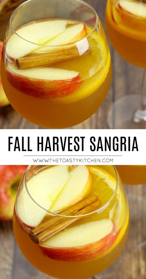 Fall Harvest Sangria by The Toasty Kitchen #sangria #fall #harvest #fireball #applecider #apple #orange #alcoholic #falldrink #drinkrecipe #recipe #drink Campfire Drinks, Sangria Fall, Harvest Sangria, Apple Sangria Recipes, Apple Cider Sangria Recipe, Fall Sangria Recipes, Summer Sangria Recipes, White Sangria Recipe, Red Sangria Recipes