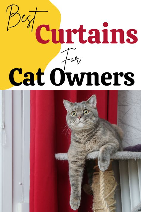 Cat Proof Curtains - Best Tips What To Look For ⋆ Happy City Cat Cat Proof Balcony, Diy Cat Enclosure, Cat Projects, How To Cat, Cats Stuff, Cat Proofing, Cats Rule, Cat City, Cat Scratchers