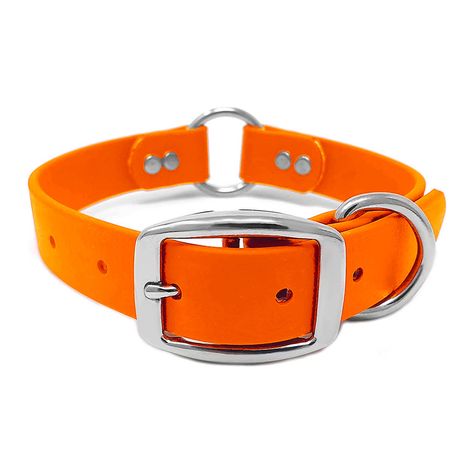 Orange Dog Collar, Orange Dog, Waterproof Dog Collar, Giant Breeds, Large Dog Collars, Dog Personality, Small Dog Collar, Training Collar, Dog Products