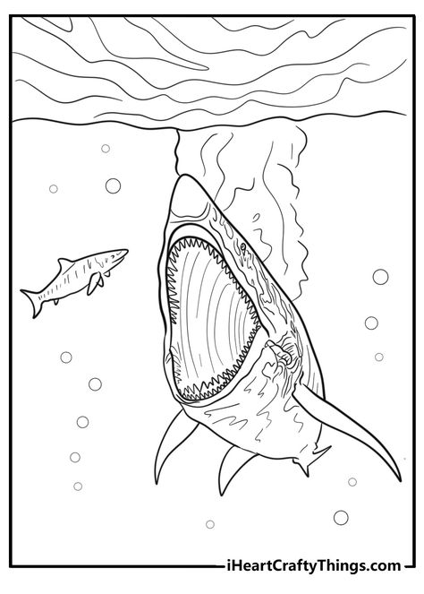 31 Megalodon Coloring Pages Cupcake Liner Crafts, The Megalodon, Free Planner Pages, Happy Shark, Shark Coloring Pages, Desert Animals, Deep Sea Creatures, Coloring Sheets For Kids, Ocean Crafts