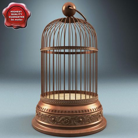 Old Bird Cage 3D Model #AD ,#Bird#Cage#Model Old Bird Cage, Amazon Birds, Vintage Bird Cage, Bird Cages, Art Wallpaper Iphone, Materials And Textures, Anime Drawings Boy, Bird Cage, Best Photos