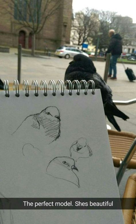 Drawing Objects As People, Art Memes, Art Tutorials Drawing, Sketchbook Art Inspiration, Art Inspiration Drawing, Art Tips, Drawing Tips, A Drawing, 귀여운 동물