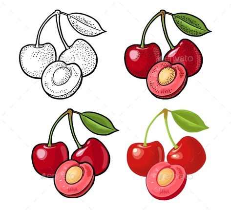 Whole and Half Cherry Berry with Leaf #Cherry, #Berry, #Leaf Cherry Drawing, Orange Icon, Orange Vector, Menu Poster, Leaf Vector, Orange Icons:), Realistic Illustration, Fruits Drawing, Infographic Design Inspiration