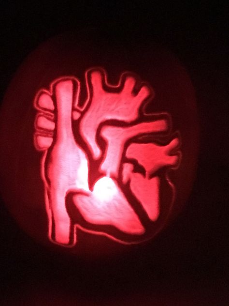 Pumpkin carving/etching human heart Biology Pumpkin Carving Ideas, Cardiac Pumpkin Decorating, Pumpkin Carving Ideas Medical, Healthcare Pumpkin Carving, Ems Pumpkin Carving Ideas, Nursing Pumpkin Carving Ideas, Pumpkin Carving Medical Theme, Greys Anatomy Pumpkin Carving Ideas, Anatomy Pumpkin Carving