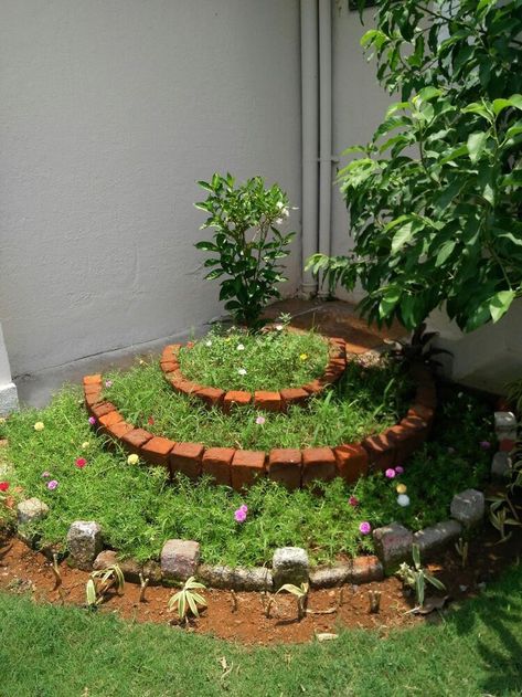 https://youtube.com/@BloomingParadisegarden Jew Line Exercise, Cottages Exterior, Garden Ideas India, Plants Decoration Ideas, Garden Corner Ideas, Preschool Prewriting, Corner Landscaping, Eco Club, Diy Miniature Garden