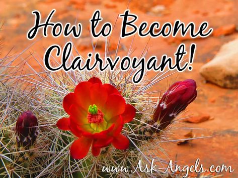 What is Clairvoyance - 13 Truths About How to Become Clairvoyant Clair Senses, Goddess Asherah, Grey Witch, Psychic Development Learning, Crystal Children, Learn Reiki, Sense Of Sight, Spiritual Stuff, Sixth Sense