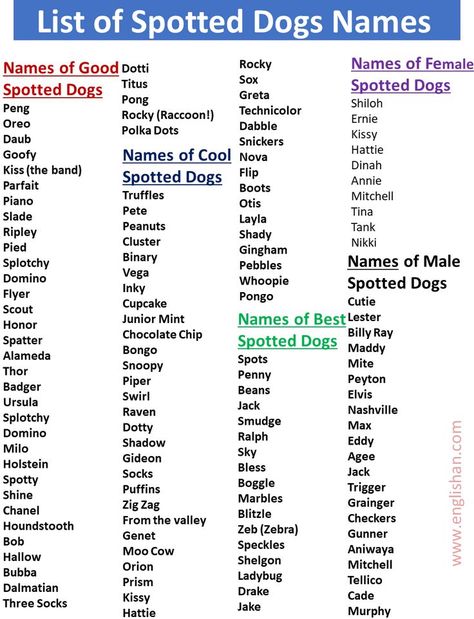 Spotted Dog Names Female, Spotted Dog Names Male, Black and White Spot Dog Names, Tan Spotted Dog Names, Names That Mean Spotted, Names for Things with Spots, Brown Spotted Dog Names, Unique Dog Names for Female Puppies Dog Names Female, Brown Dog Names, Unique Dog Names, Dogs Names List, Rocky Raccoon, Names Male, Dog Names Unique, Junior Mints, Names List