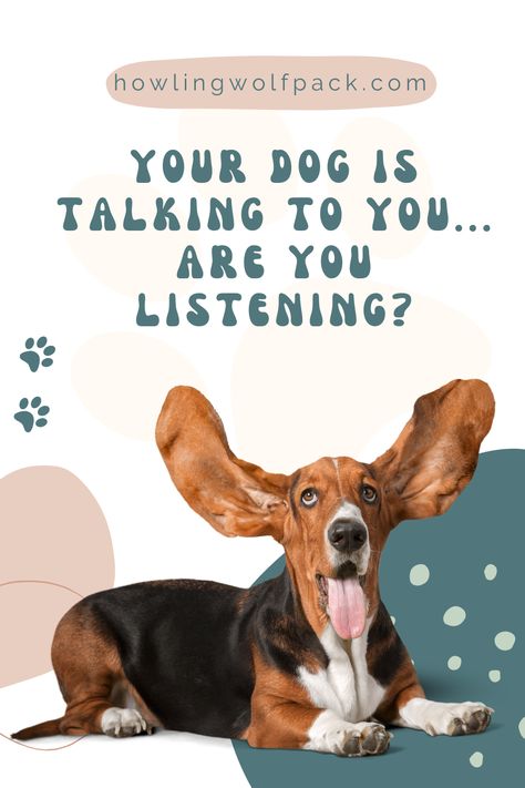 Dog Behaviors and What They Mean: Do you ever feel like your dog is trying to tell you something? Well, they are! Our dogs use facial expressions, vocalisations and body language to communicate with us. It's our job as their owners to learn how to read their dog behavior and respond accordingly. This blog looks at the most typical dog behaviors and breaks down what each one means. Dog Behavior Meaning, Dog Whining, Dog Expressions, Dog Body Language, Dog Behavior Training, Dog Behavior Problems, Dog Language, What Dogs, Dog Tips