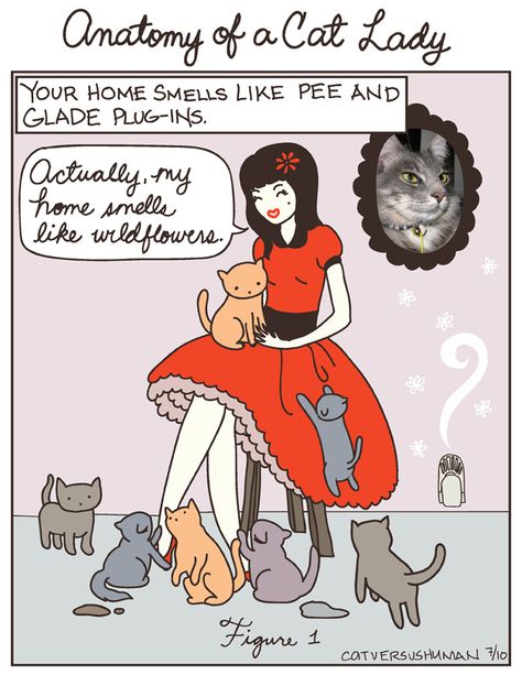 Anatomy of a Cat Lady Cat Vs Human, Cat Diary, What Cat, Cat Comics, Cat Pictures, Cat People, Cat Quotes, Cat Person, Cat Stuff