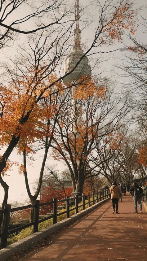 Arsitektur Kolonial, Autumn In Korea, Namsan Tower, South Korea Photography, Seoul Korea Travel, Korea Wallpaper, South Korea Seoul, South Korea Travel, Cat Air