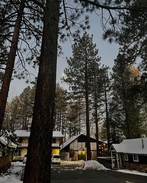 Big Bear California Aesthetic, Big Bear Aesthetic, Sena Core, Big Bear California Winter, Big Bear Trip, Bday Plans, Oregon Aesthetic, Big Bear Lake California, Big Bear California