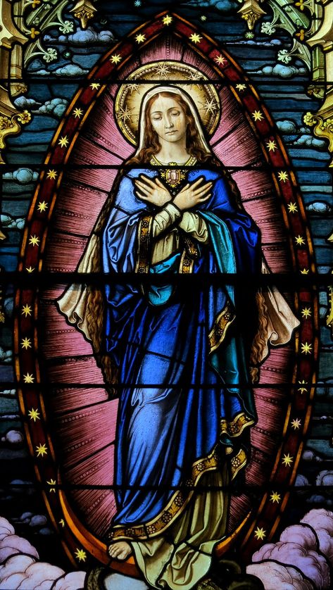 Catholic Church Stained Glass, Saint Philomena, Stained Glass Windows Church, Stained Glass Church, Images Of Mary, Stained Glass Angel, Religious Pictures, Queen Of Heaven, Immaculate Conception