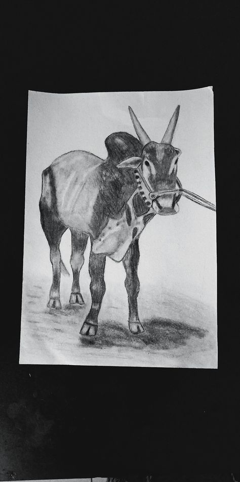 Easy bull sketch Bull Sketch, Bail Pola, Sketch Realistic, Realistic Drawings, Ox, My Name Is, My Name, To Draw, Moose Art