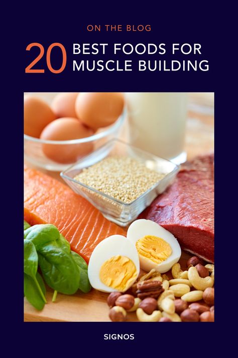 You may be wondering, what foods work in a muscle-gain diet? Good news! The options are endless, and we’ve compiled a list of 20 of the best foods to incorporate into your diet for muscle building as well as stabilizing blood sugar, supporting weight loss, and promoting a healthy lifestyle. Foods For Building Muscle, Bodybuilding Meal Prep, Best Muscle Building Foods, Muscle Building Meal Plan, Weight Gain Plan, Muscle Gain Diet, Workouts To Tone, Arm Toning, How To Grow Muscle