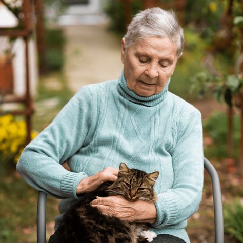 Senior Citizen? Consider These Things When Adopting A Cat [2023] • Kritter Kommunity Adopting A Cat, Cat 2023, Best Beach Chair, Getting A Kitten, Cat Sitter, Older Cats, Types Of Cats, Senior Cat, Aging In Place