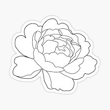 Simple Peony Tattoo Outline, Peony Outline Tattoo, Peony Drawings, Peony Outline, Peony Svg, Peony Clipart, Outline Stickers, Flower Tattoo Stencils, Peony Flower Tattoos