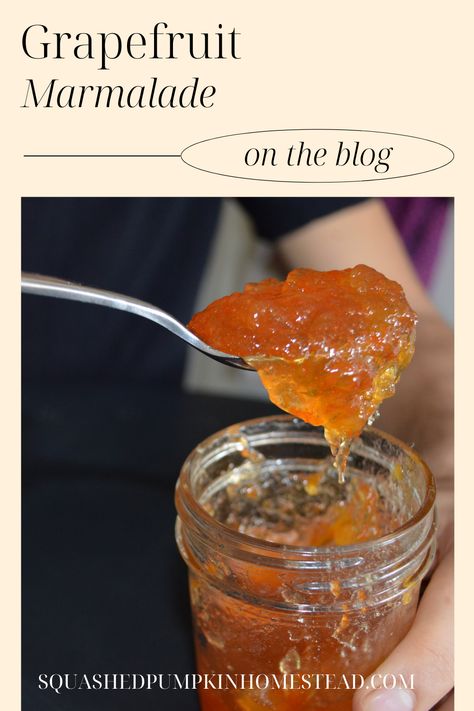 This grapefruit marmalade is a great way to use up any extra grapefruit this citrus season. I like to can it to make it shelf stable, but you can also enjoy it fresh! Grapefruit Jelly, Canning Grapefruit, Grapefruit Jam, Grapefruit Uses, Marmalade Recipe Easy, Grapefruit Marmalade, Diy Canning, Grapefruit Recipes, Marmalade Recipe