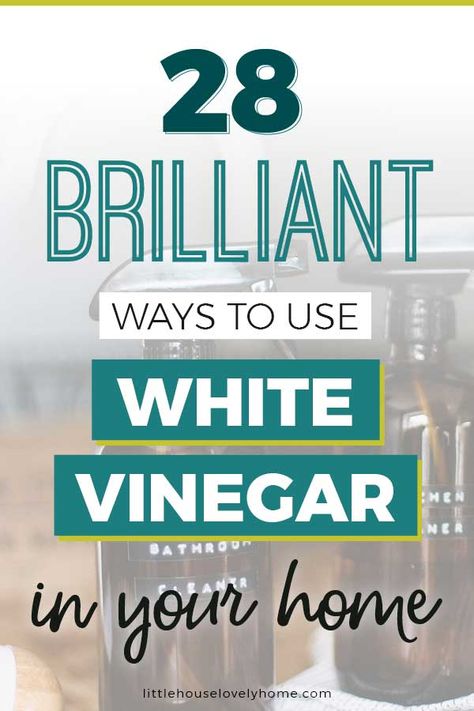 White Vinegar Uses, Uses For White Vinegar, White Vinegar Cleaning, Clean Baking Pans, Cleaning Painted Walls, Vinegar Uses, Vinegar Cleaning, Deep Cleaning Tips, Household Cleaning Tips