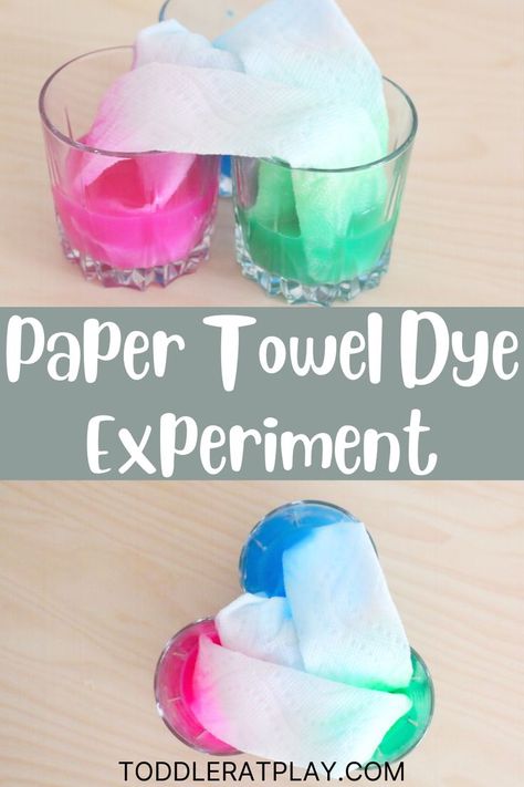 This Paper Towel Dye Experiment is a super quick and easy to prep experiment perfectly fun for toddlers and preschoolers! #dyeexperiment #kidsactivities Homeschooling Activities, Fun For Toddlers, Toddler Science Experiments, Stem Experiments, Science Experiments For Preschoolers, Preschool Activities Toddler, Indoor Kids, Kid Experiments, Easy Science Experiments