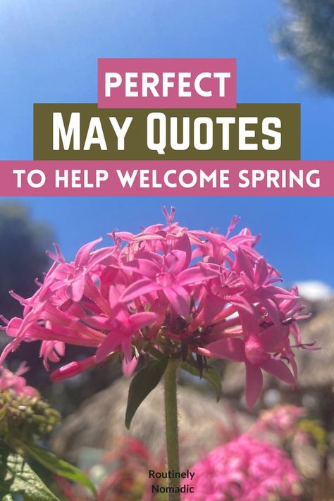 Here are the best May quotes and sayings. Including ones that are the inspirational, cute, funny, hilarious, short, for May 1st, welcome May sayings and hello May sayings. Find the best Month of May quotes that fits your experience, picture or just inspires you! May Funny Quotes Month, Funny May Quotes, May Inspirational Quotes, May Month Quotes Inspiration, Quotes For May Month, May Quotes Month Funny, Month Of May Quotes Inspiration, Quotes About May Month, May Quotes Inspirational