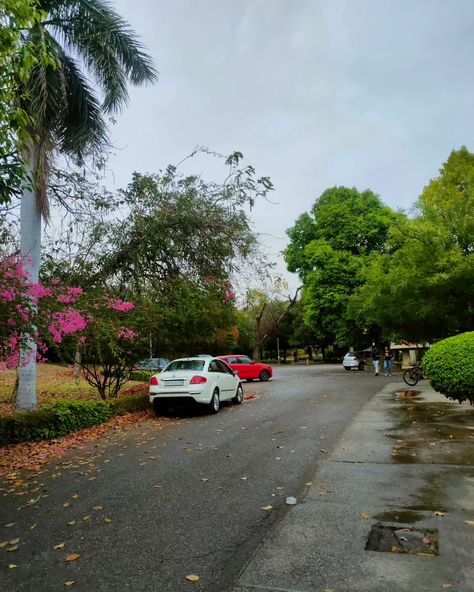 POV: IIT Kanpur made you like the rain 🫀🥺 P.S. I ate that mulberry later 😏🫐 🏷️ #prettyweather #summerrain #iit #nature #mulberry #aesthetic Mulberry Aesthetic, Iit Kanpur, Summer Rain, April 12, The Rain, Make It Yourself, On Instagram, Quick Saves, Instagram