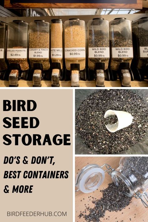 Birdseed Storage Ideas, Bird Food Storage Ideas, Bird Seed Storage Ideas, Bird Feeding Station Ideas Gardens, Bird Feed Storage, Big Bird Feeder, Tim The Tool Man Taylor, Bird Feeding Stations, Bird Seed Storage