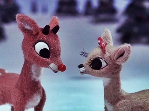 Young Rudolph and Clarice Misfit Toys, 25 Days Of Christmas, Christmas Shows, Rudolph The Red, Christmas Gif, Red Nosed Reindeer, Christmas Cartoons, Christmas Past, Christmas Memory