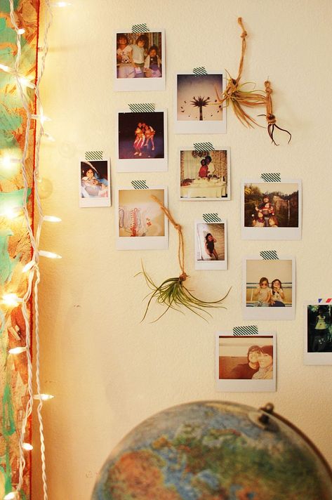 2 air plants Polaroid Display, Washi Tape Wall, Tape Wall, Polaroid Wall, A Beautiful Mess, Air Purifying, Polaroid Pictures, Which Is Better, Hanging Photos