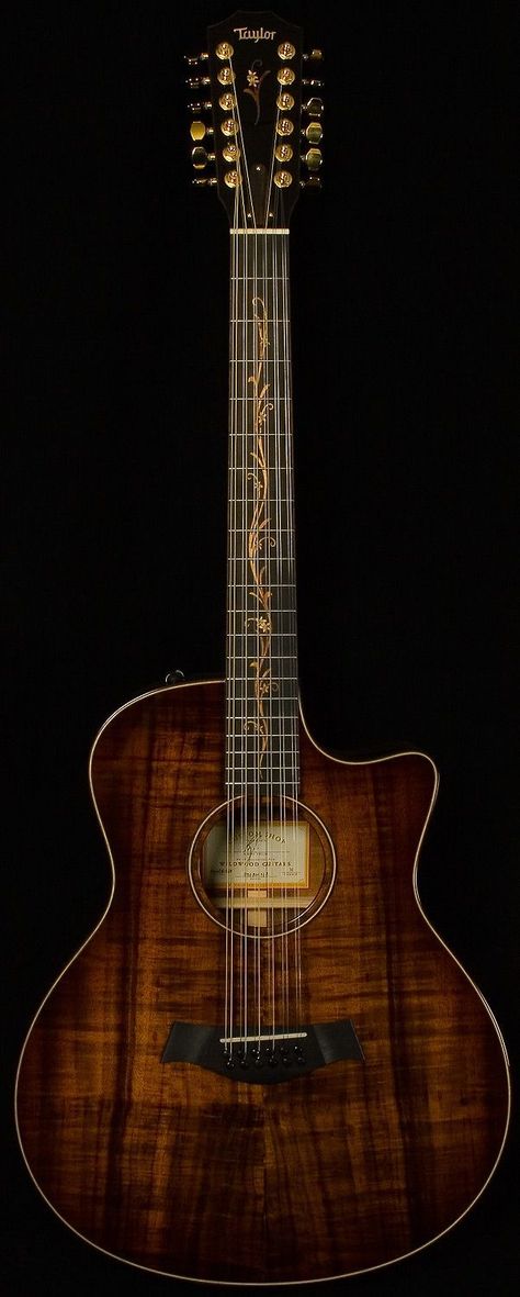 12 String Acoustic Guitar, Taylor Guitars Acoustic, Acoustic Guitar For Sale, 12 String Guitar, Guitars Acoustic, Taylor Guitars, Taylor Guitar, Martin Guitar, Best Acoustic Guitar