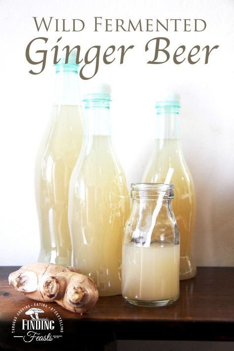 How To Make Homemade Ginger Beer How To Make Ginger Beer At Home, Ginger Ale Punch, Black Label Beer, Fermented Ginger, Ginger Ale Cocktail, Chang Beer, Homemade Ginger Beer, Food Fermentation, Ginger Ale Recipe