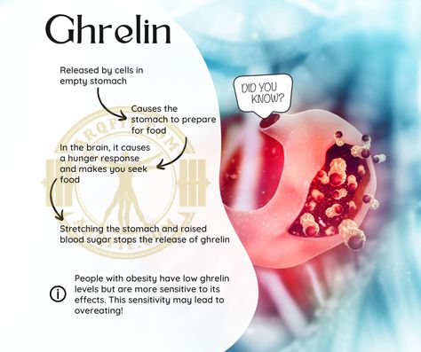 Have you ever wondered how your body knows when it's time to eat? It turns out there's a little hormone called ghrelin that helps to regulate hunger. Ghrelin is produced in the stomach and signals to the brain that it's time to eat. Levels of ghrelin rise before meals and fall after eating. With this in mind, we can say that this hormone plays an important role in regulating energy balance and maintaining a healthy body weight. So next time you're feeling hungry, thank your ghrelin! #en Ghrelin Hormone, Energy Balance, Healthy Body Weight, Feeling Hungry, Healing Food, Time To Eat, The Brain, Healthy Body, Body Weight