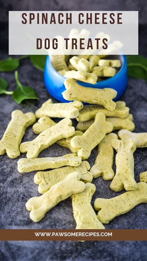 Dog Treats Cheese, Spinach Dog Treats, Cheese Dog Treats, Cheese And Rice, Biscuits Homemade, Treat Business, Carrot Dogs, Spinach Cheese, Dog Biscuit