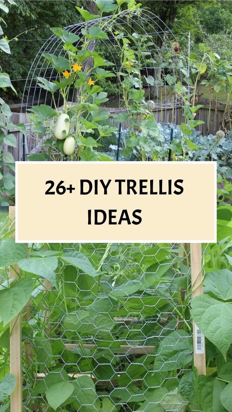 pumpkin trellis ideas vegetable garden trellis ideas for vegetable garden || outdoor trellis ideas Mini Pumpkin Trellis, Garden Trellis For Squash, Squash Trellis Ideas, Grow Bag Trellis, Trellis Butternut Squash, Climbing Flowers Trellis, Wire Mesh Trellis, Homemade Trellis, Wooden Garden Trellis