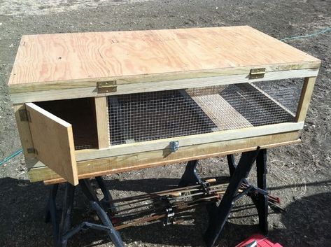 Picture of And There You Have It! Quails Cage, Keeping Quail, Quail Hutch, Quail Raising, Quail Pen, Quail House, Quail Cage, Quail Coop, Hutch Ideas