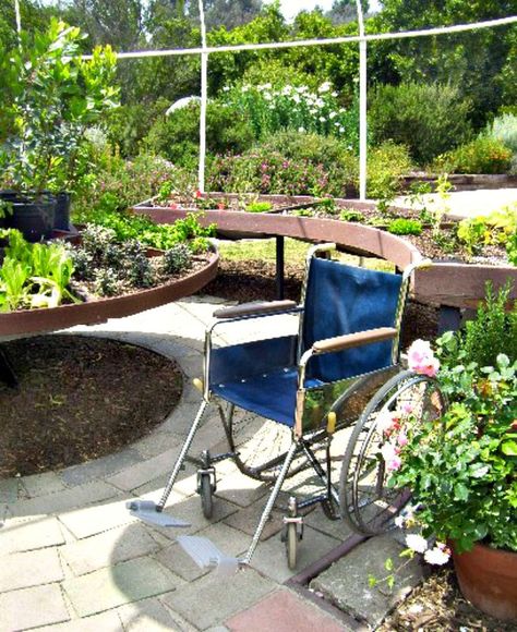 Wheelchair Gardening, Wheelchair Garden, Therapeutic Garden, Accessible Garden, Cactus Garden Landscaping, Raised Planters, Garden Landscaping Diy, Patio Design Ideas, Healing Garden