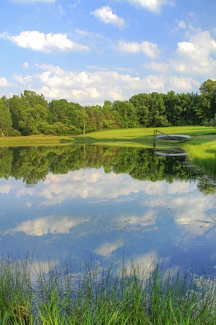 Farm Pond | Flickr - Photo Sharing! Backyard Fountain Ideas, Farmhouse Pond, Big Pond, Backyard Fountain, Lake Landscaping, Large Pond, Fishing Pond, Fountain Ideas, Farm Pond