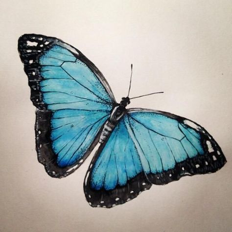 butterflyclipart #watercolorinspiration #butt Watercolor Blue Butterfly, Blue Morpho Butterfly Drawing, Blue Butterfly Drawing, Morpho Azul, Karner Blue Butterfly, Butterfly Watercolor Painting, Painting Clipart, Colorful Butterflies Art, Blue Butterfly Tattoo