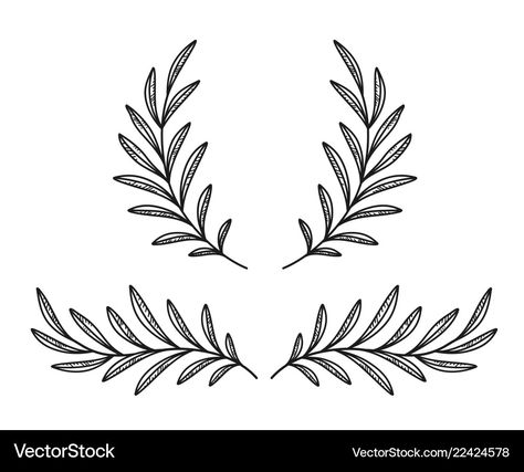 Ivy Silhouette, Olive Branch Wreath, Craig Robinson, Olive Branches, Leaf Garland, Black Olive, Olive Branch, Craft Business, Pattern Illustration