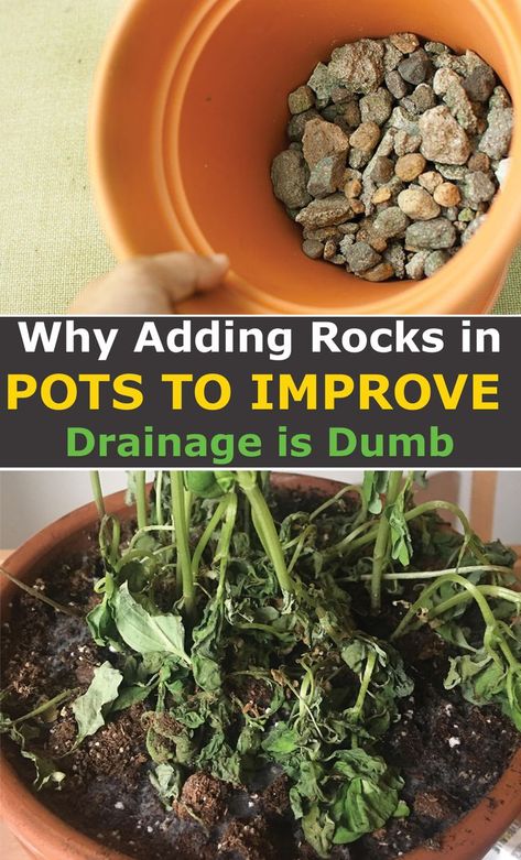 Rock Drainage, Transplanting Plants, Planting Pots, Drainage Solutions, Planting Pot, Great Grandparents, Pea Gravel, Pot Plant, Small Space Gardening