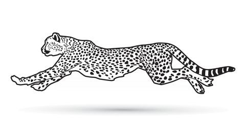 Cheetah Outline, Cheetah Running, Cheetah Logo, Cheetah Drawing, The Cheetah, Logo Design Art, Design Practice, Drawing Cartoon, Colouring Pages